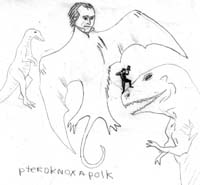 The Pteroknoxapolk