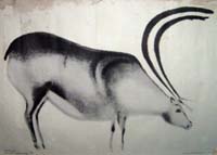 reindeer cave art