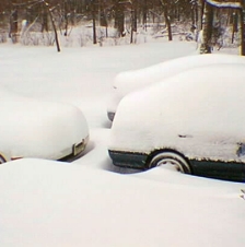 Our cars in the snow